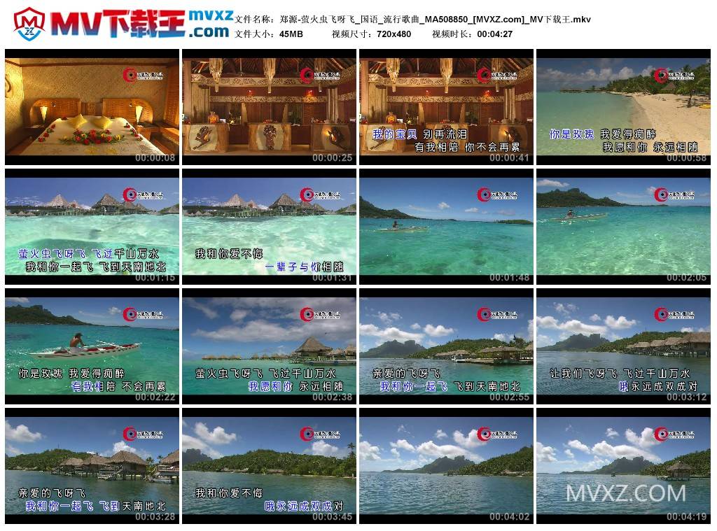 郑源-萤火虫飞呀飞_国语_流行歌曲_MA508850